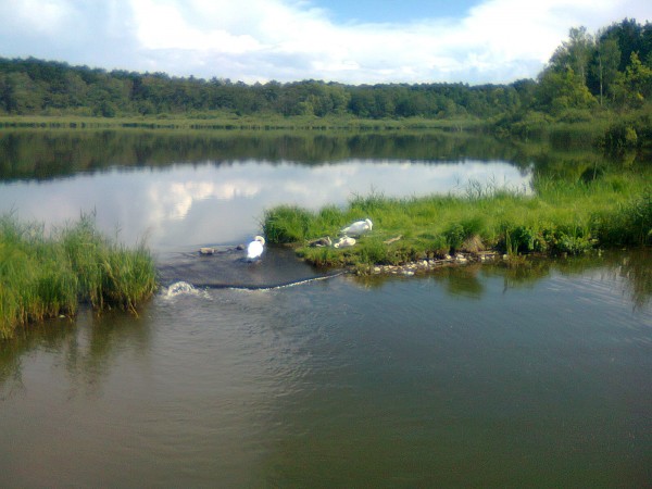 jezero